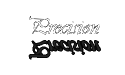 Precision